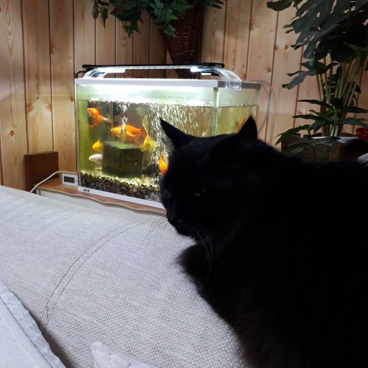 F4f55313 7548 4016 bf39 0bafe00976c4 1519599148261