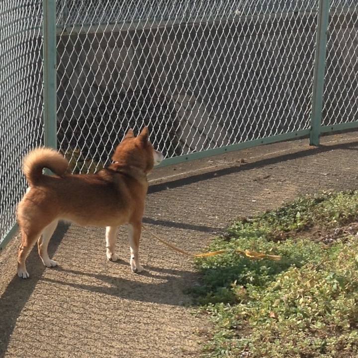 F4f57295 4c47 488a 8f52 55f177a54ed8 1512270520690