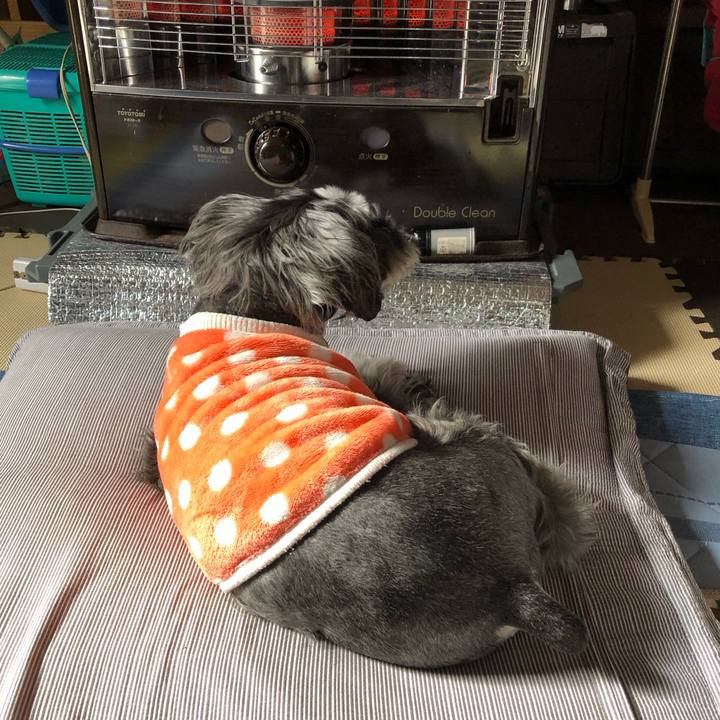 F4f5a05c 11e1 4c21 9465 1d6a43b69945 1708665674682