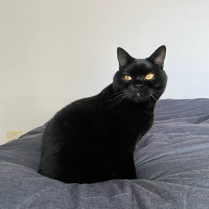 F4f5a31c 7de9 4935 b963 243792cb718f 1671018196522