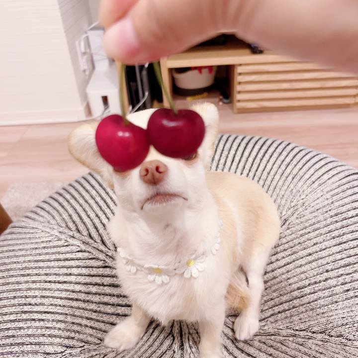 F4f5ba96 6c2d 4b1d a2ec 30b8a9d6ae7c 1685363386619