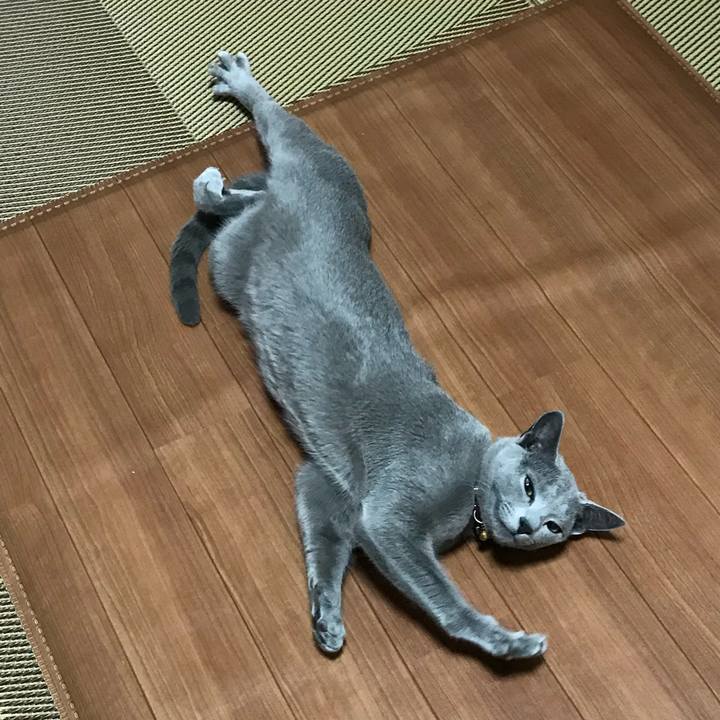 F4f5d6eb 146c 4808 9bd4 29c4e0231b83 1526201095600