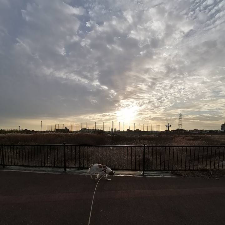 F4f5fcac 4ff8 469b 9bf1 54f2c5a050fa 1578308405176