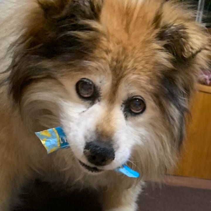 F4f62418 456c 4397 8782 c0061d927324 1584192191914