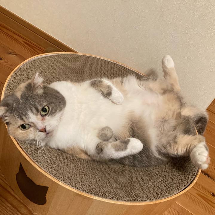 F4f624dd e8c5 483b 9a2e 9690bbda3468 1718282758904