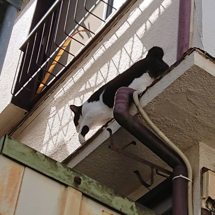 F4f671d7 9351 4055 b635 afc5e4ddb225 1599532285283