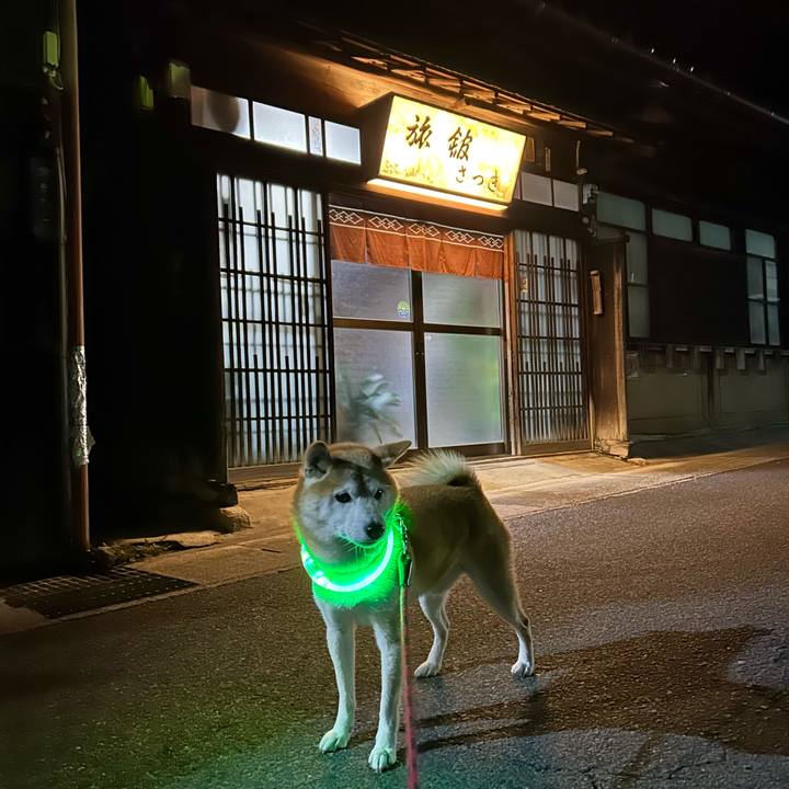 F4f6b66d ea8c 42ee ae39 06b7f7cae8b6 1732791995809