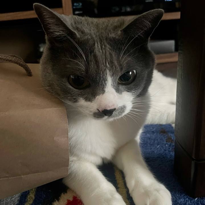 F4f6bfee 2f8f 49bd af9e 8af612f43639 1683448406618