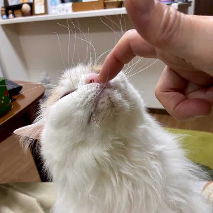 F4f6cc78 5707 46ab bc54 4a3e877faa8e 1775015171218