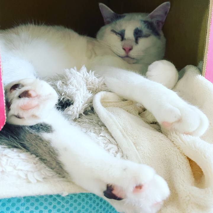 F4f6d3cb 3120 43de 962e dfe3106a80c9 1609518819690