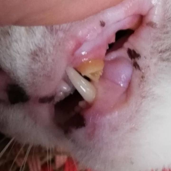 F4f6f392 0060 4e23 94ff 43ea8c678d5b 1717915705985