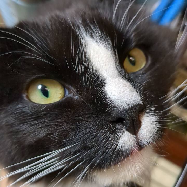 F4f71ef8 790f 4cdd a3f4 50d8c2fc77d9 1672726227246