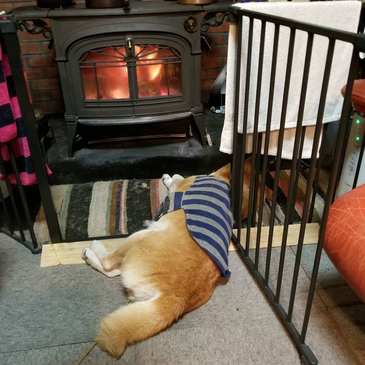 F4f72477 742e 4308 8a03 7788167e5ebc 1674643119735