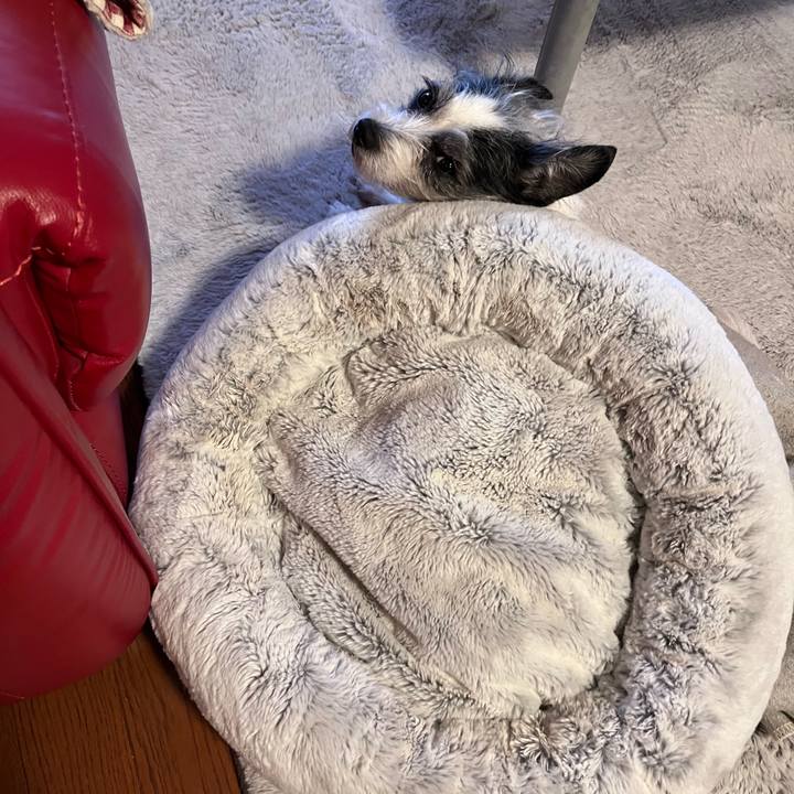 F4f72e16 d09c 4cb1 a9e3 1ffeddf21c87 1770849595279