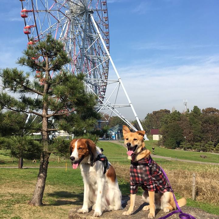 F4f733be a24b 4bf0 bd10 6a83180d1c64 1543912456774