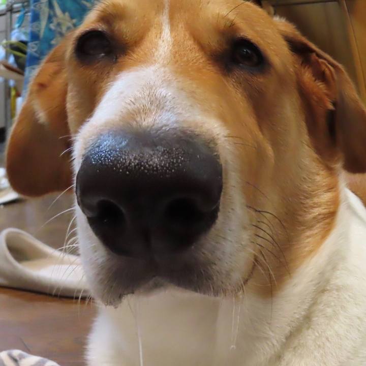 F4f73c04 3607 4930 b7eb e7c0c6c8fd1c 1631864252655