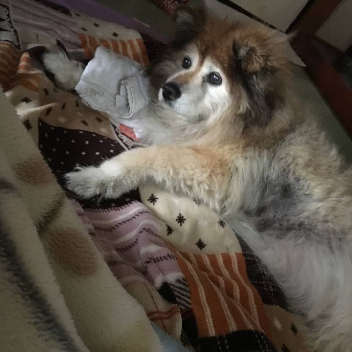 F4f76a8a 29d3 41ea 8a9f 3ec4a5f968af 1593502428309