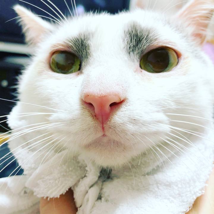 F4f7738d a1a4 47cc a31d 8accac985e4a 1513515958734