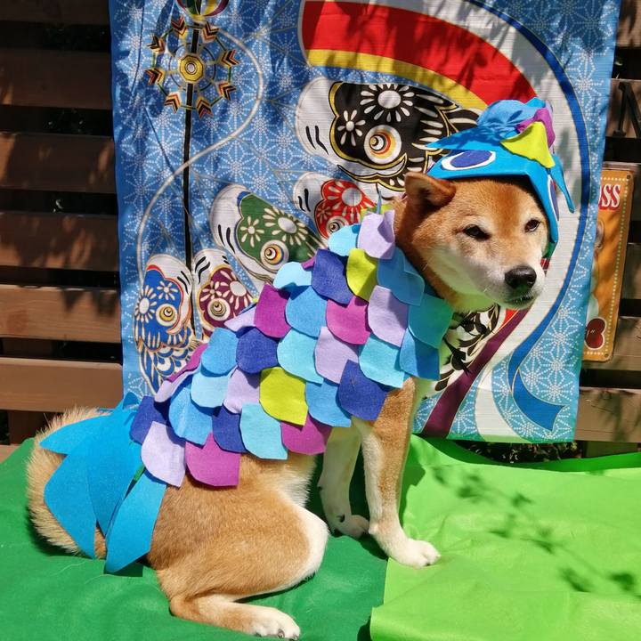 F4f79cab 0dc9 43a1 b7fd 0e4d22e09581 1651715718878