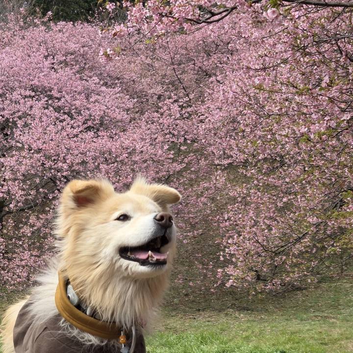 F4f7b51f 85b2 496f b9e4 b7e750a7516a 1772203263884