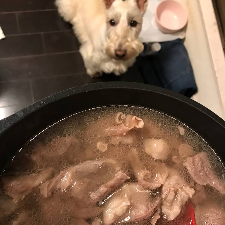 F4f7c1ca 1c53 4ca1 a418 b016600a2af6 1554467666696