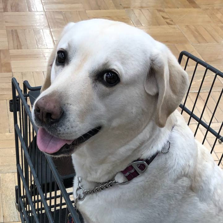 F4f7d162 2ece 4248 8079 013c386e74f8 1616974566320