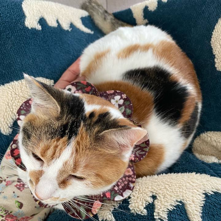 F4f7d724 756a 496b b9c8 ac979049c0fb 1746316745365