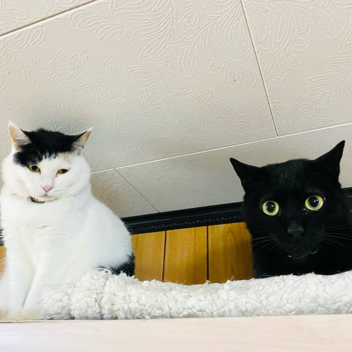 F4f7e2fa 10ab 4e42 a8cc dbca24b04fb4 1684879068660