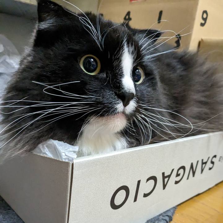 F4f80707 9f03 4abd 9407 038f7e4929c0 1704886363196