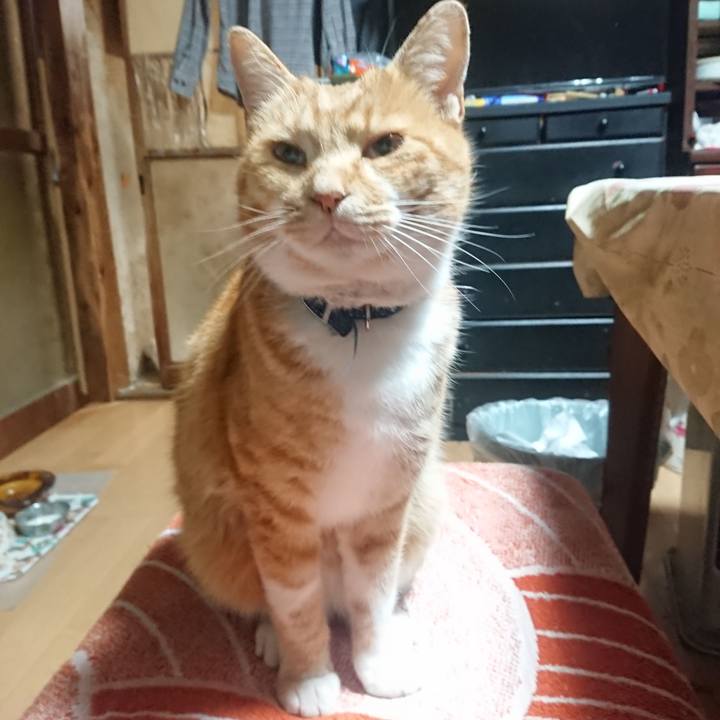 F4f81729 e273 4963 8f52 c17f5a4f6b1b 1604951416253