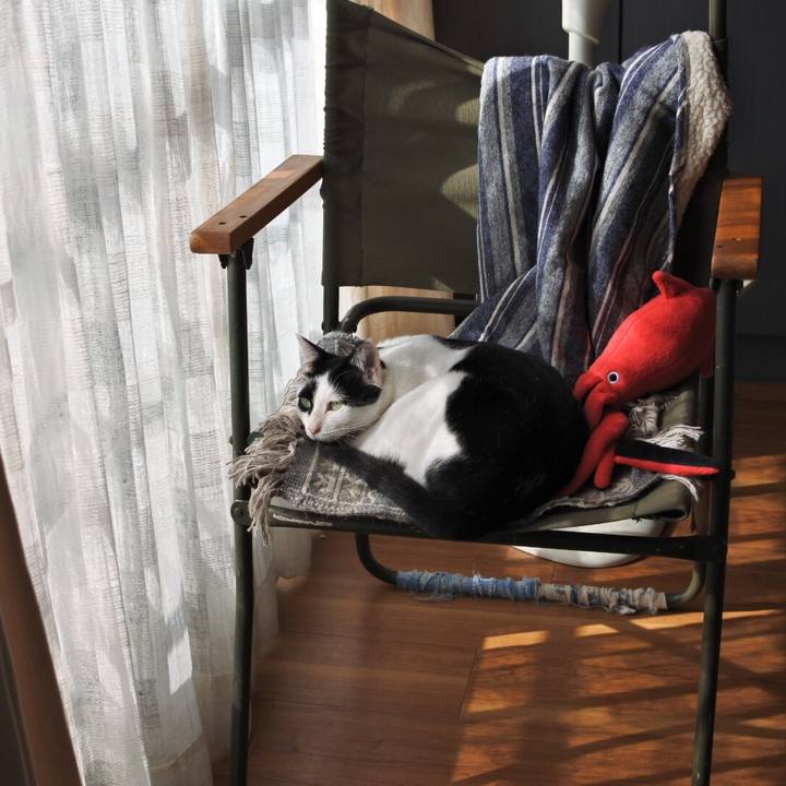 F4f82407 9b04 4732 863a ad0a47f3d368 1540554734543