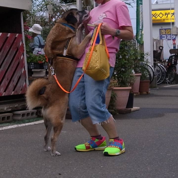 F4f83055 1d45 4710 97cc e497fcb94539 1582425519755