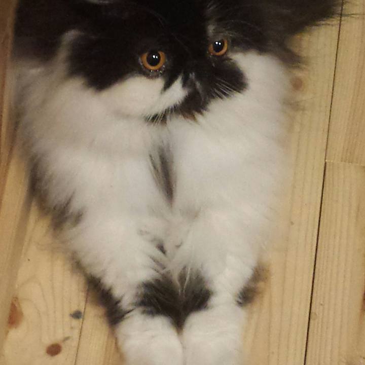 F4f849e4 ad34 437b 9ee4 0ab566bc7293 1525691520984