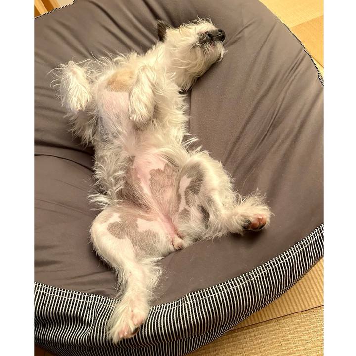 F4f84cb5 3989 47db b85c 6ac804370aaf 1701637981150