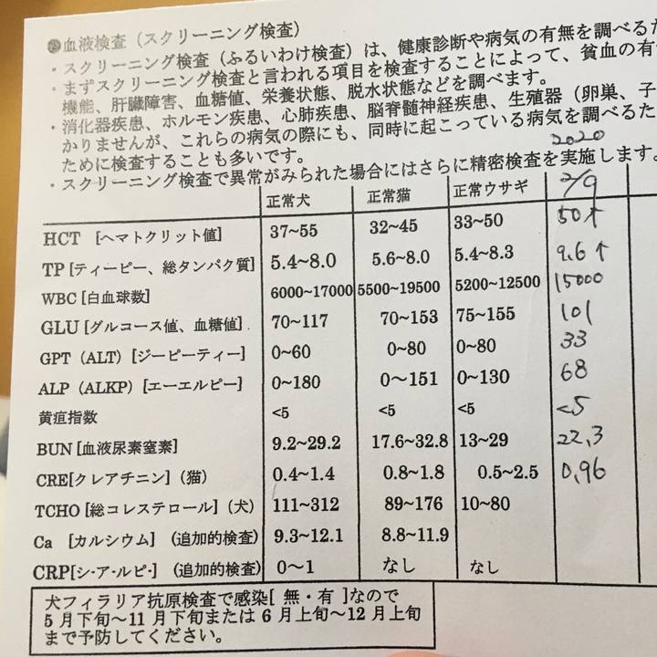 F4f84dc4 6886 4f45 ad73 6b3a1cf149c0 1582533183632