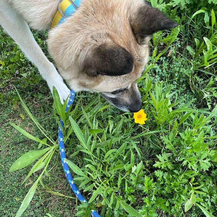 F4f869fd 1d85 43ff b15c 482b7d81be3d 1656069698693