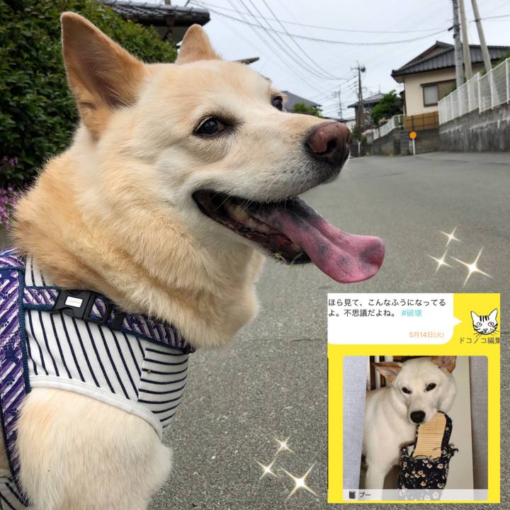 F4f89fdf 16c0 4b4d ab97 3cf97921c18b 1557835515443