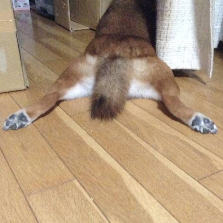 F4f8b361 77be 4876 8a94 cd78ae286594 1536155900391