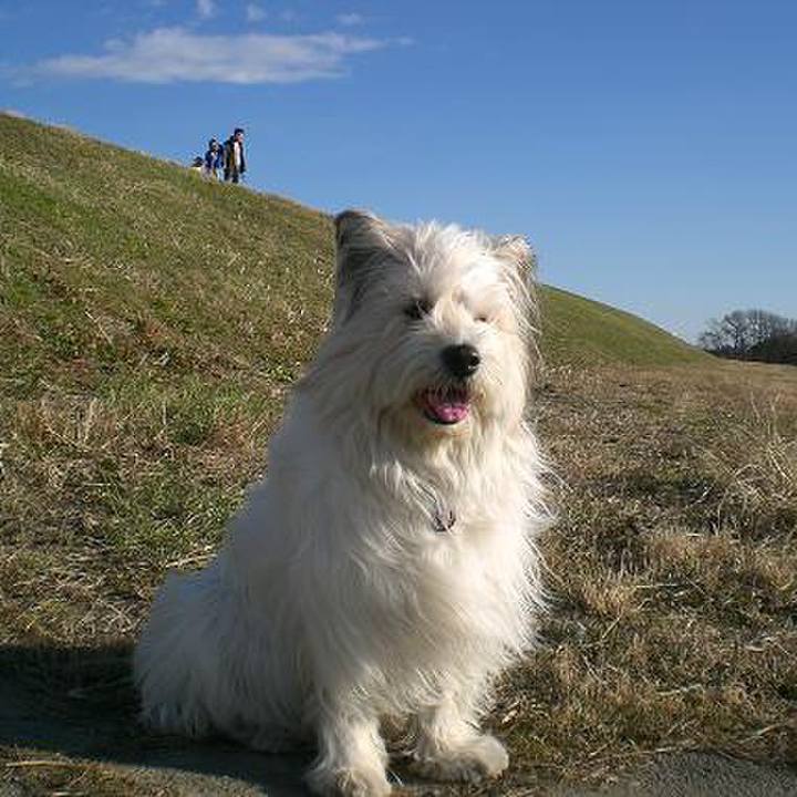 F4f8d218 ceb6 4b01 8860 2f16babaf60a 1515386441818