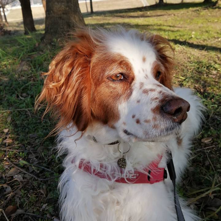 F4f921e8 ec93 4f18 8070 709dd32bbd99 1582716928465