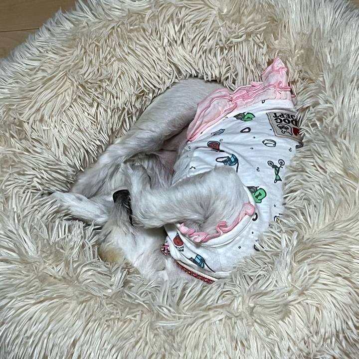 F4f92b47 163d 40df b4df 57832bc20a88 1651846037936