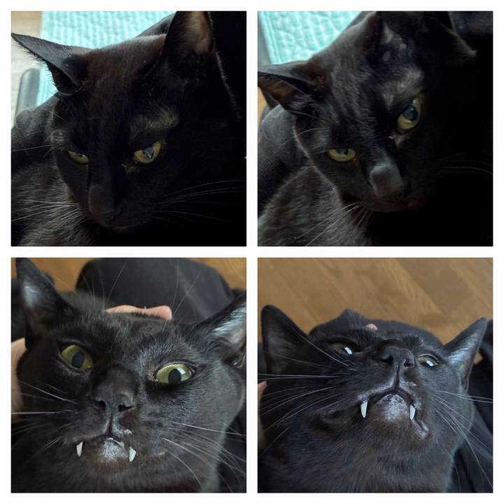 F4f946bc 6b8b 4d3f ba36 cda12f78977e 1747171384116