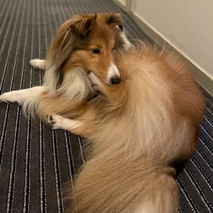 F4f9541f 2ca2 4226 86be 81c5662734f8 1630552106442