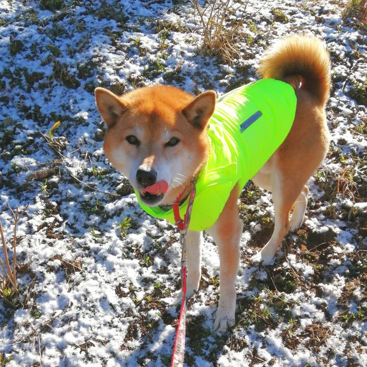 F4f95c12 9121 408b 8bb6 1c5cb3f25f1e 1674875623802