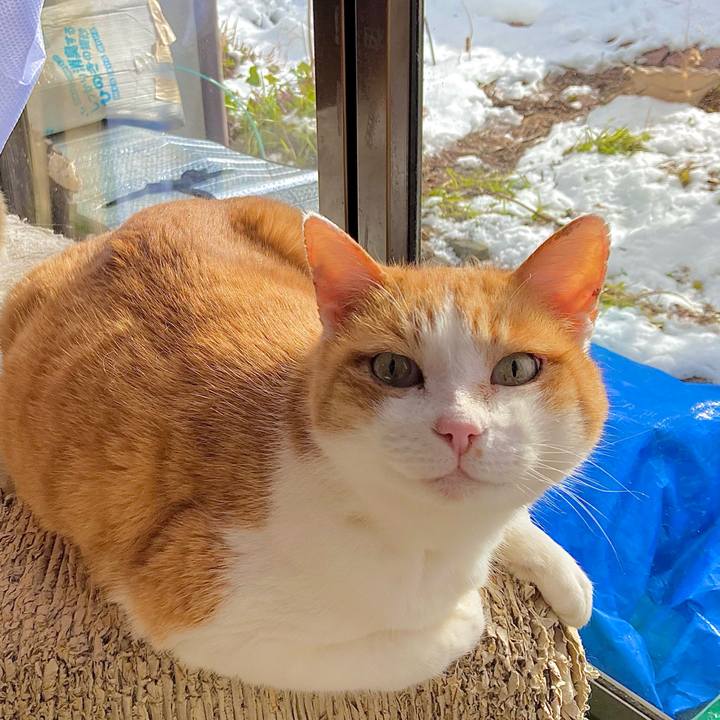 F4f96a33 6f38 4447 974d 40fdd2556aac 1706595350061