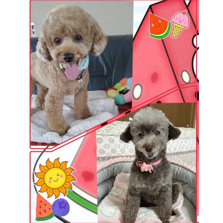 F4f97510 2ebd 4053 aab4 816fb4d37e38 1756099436062