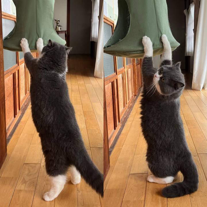 F4f9968e ea73 48e3 a886 7b5f33d25bd4 1651366959591