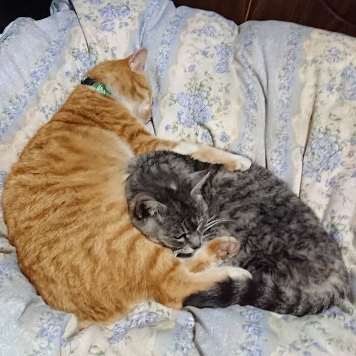 F4f9b007 5449 4f9e a41c 6d74f5b2c58c 1582381253588