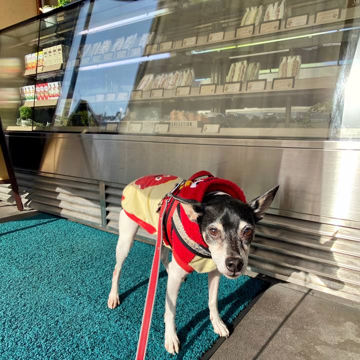 F4f9b7c2 cfb0 4970 9f25 33a00b19499c 1584748072399