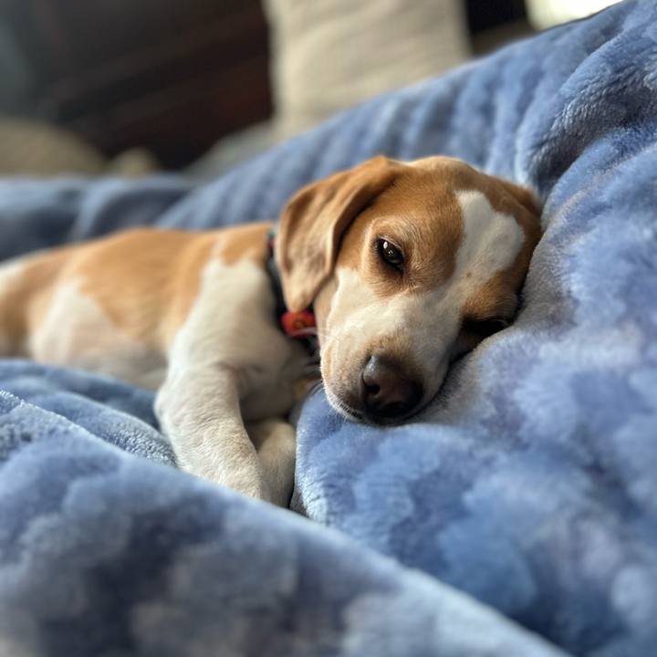 F4f9ba91 c35c 4d40 a37a bfd1fa57d8e1 1683686270718